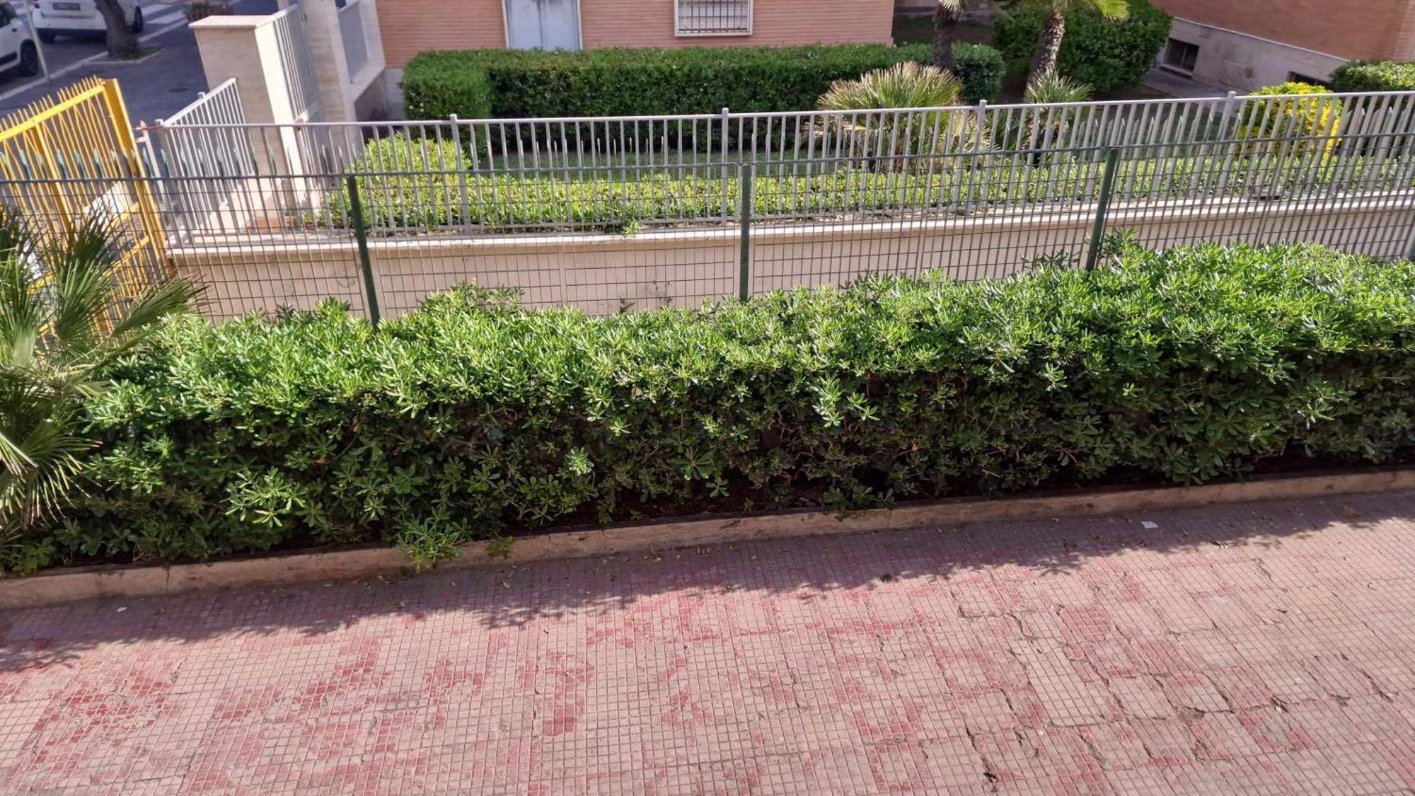La Marina Di Ostia Apartment Exterior photo
